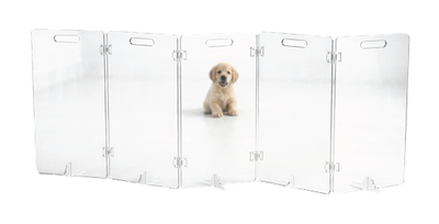 Acrylic Puppy 3-Panel