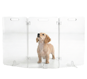 Acrylic Puppy 5-Panel