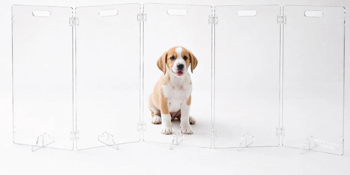 seeking a stylish alternative to bulky metal barriers.