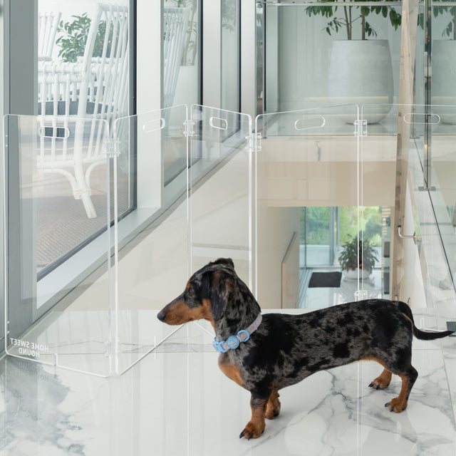 Modular 5-Panel Acrylic Pet Gate