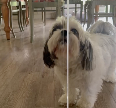 Customer video 1