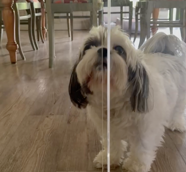 Customer video 1