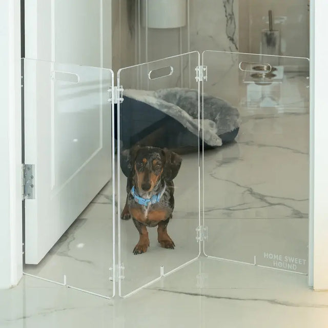 Modular 3-Panel Acrylic Pet Gate